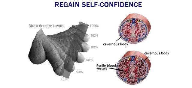 Hardmax Product Illustration
